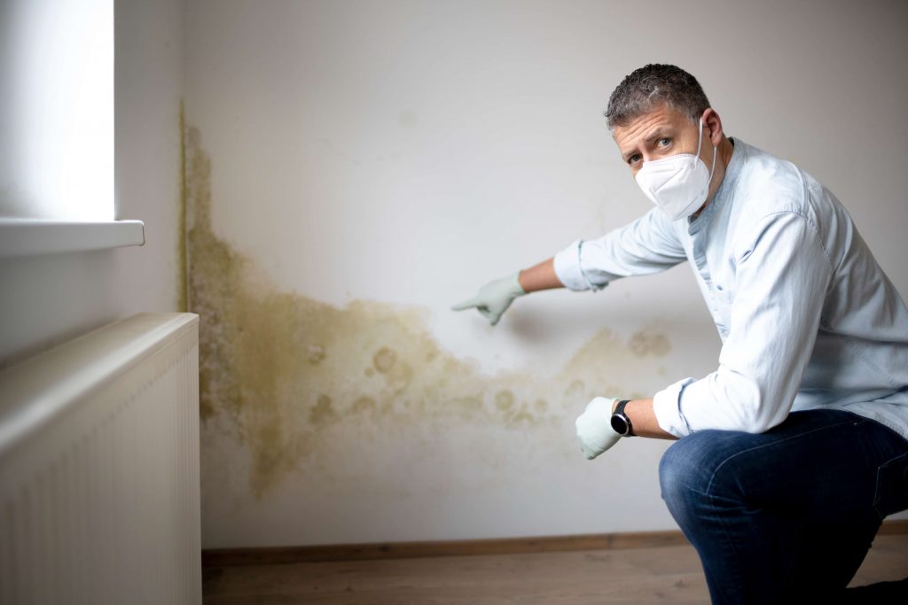 risques moisissure maison decontamination